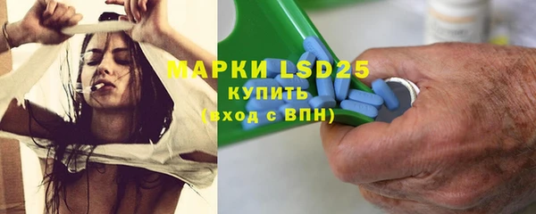 ПСИЛОЦИБИНОВЫЕ ГРИБЫ Чекалин