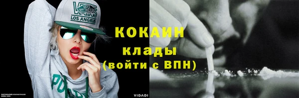 ПСИЛОЦИБИНОВЫЕ ГРИБЫ Чекалин