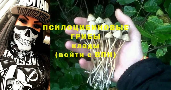 эйфоретик Чегем