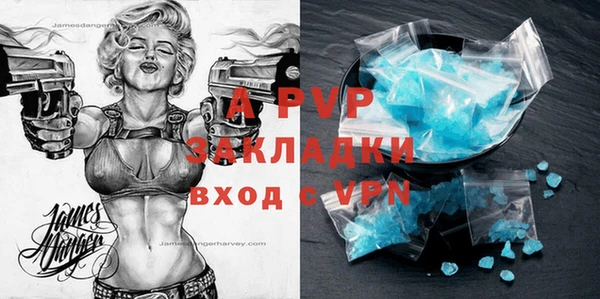 ПСИЛОЦИБИНОВЫЕ ГРИБЫ Чекалин