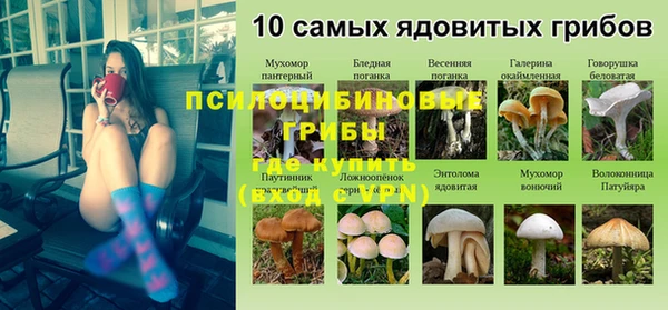 альфа пвп Чердынь