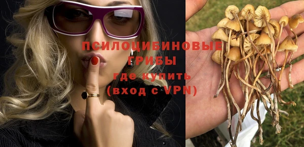 эйфоретик Чегем