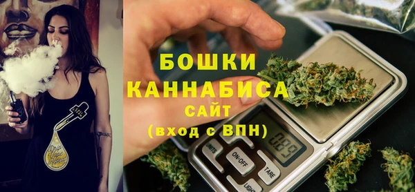 ПСИЛОЦИБИНОВЫЕ ГРИБЫ Чекалин