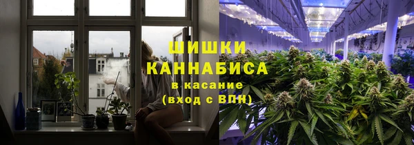 эйфоретик Чегем